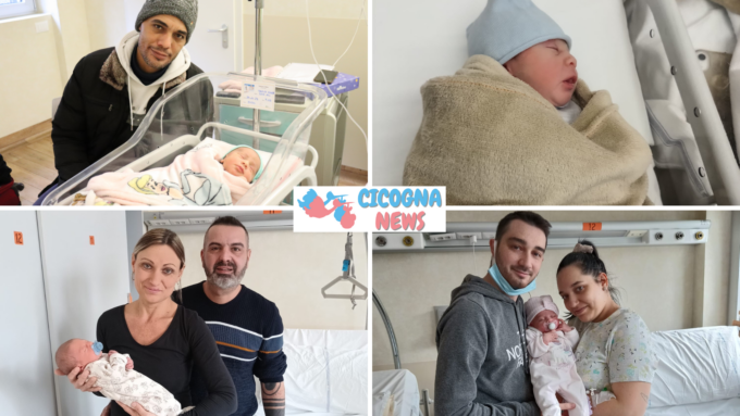 Pochi, ma buoni… anzi dolci: ecco i nuovi nati della settimana