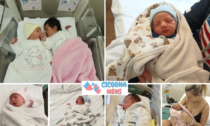 I nuovi arrivati della settimana al Santa Maria delle Stelle: sei teneri neonati da coccolare