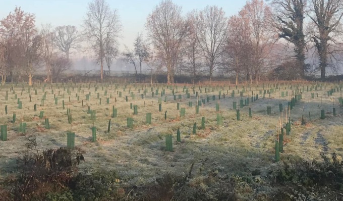 Finanziato il progetto per un nuovo bosco a Pozzo d’Adda