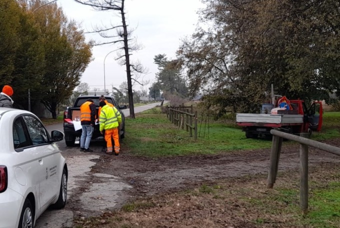 Cassina: “Alberi tagliati a Sant’Agata, nessuna irregolarità, seguiti i pareri dell’agronomo”