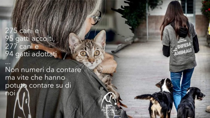 Lega nazionale per la difesa del cane, tutti gli animali salvati nel 2023
