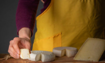 A Gorgonzola arrivano i corsi per diventare assaggiatori di formaggi