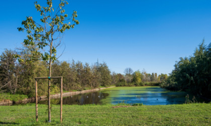 Parco Agricolo Sud Milano, al via nuovo percorso di confronto e condivisione