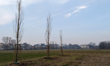 Ripristinato il Cannocchiale di Villa Alari a Cernusco sul Naviglio