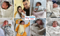 Otto nuovi arrivati in Adda Martesana: un tripudio di bebè