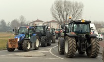 Protesta trattori, video e foto della sfilata da Melegnano a Linate: gli agricoltori non si fermano