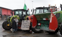 Protesta dei trattori, video e foto del presidio all'Idroscalo: "Pronti a marciare di nuovo su Milano"