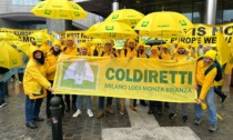 Ue, Coldiretti: agricoltori di Milano, Lodi e Monza a Bruxelles per stop burocrazia e misure urgenti per reddito imprese