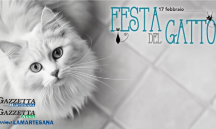 Giornata nazionale del Gatto: la Gazzetta festeggia con le vostre 300 foto!