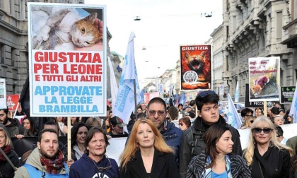 Maltrattamenti animali, in corteo a Milano per chiedere pene più severe