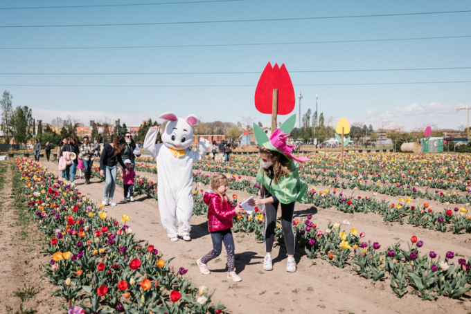 Torna il Campo dei tulipani di Agricola delle meraviglie by Steflor