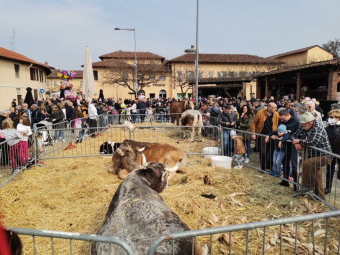 Una Cernusco sul Naviglio medievale si prepara a entrare nella settimana della Fiera di San Giuseppe