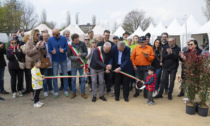 Fiera delle Palme, un sabato di sport, cibo e confronti. Oggi arriva il Palo della cuccagna