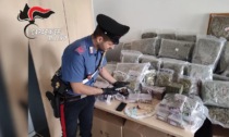 Traffico internazionale di droga, fermata l'associazione a delinquere: 11 arresti