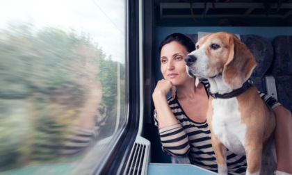 In Lombardia bici e animali domestici gratis sui treni Trenord