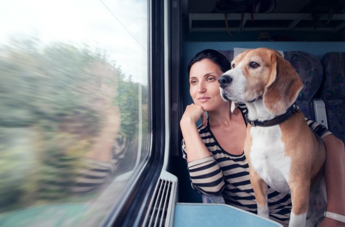 In Lombardia bici e animali domestici gratis sui treni Trenord