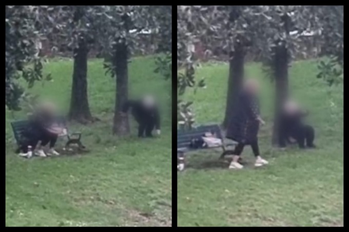 Maltrattava una 90enne invalida, badante incastrata dal video della vicina