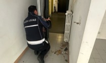 Occupazione abusiva di un appartamento sventata dalla Polizia Locale