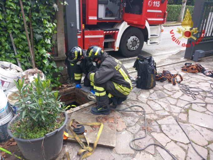 Cane finisce in un tombino aperto, recuperato dai pompieri