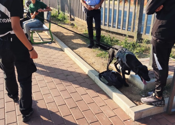 Milano “affitta” i suoi cani antidroga a Sesto San Giovanni