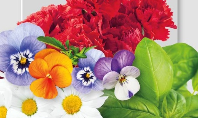 In regalo con le Gazzette fiori… da mangiare