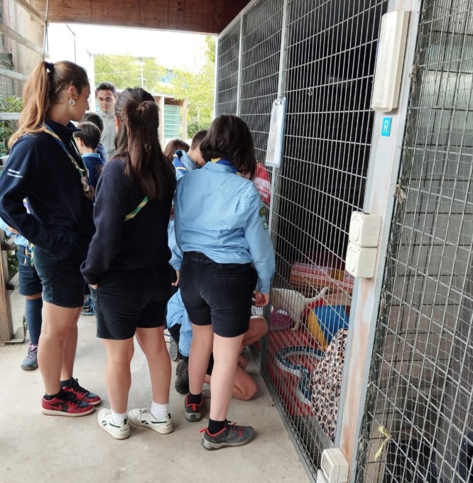 Scout di Brugherio in visita al rifugio di Monza