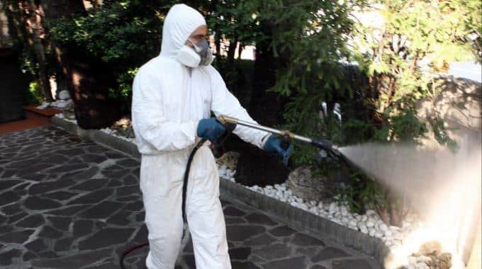 Case comunali invase dalle blatte, inquilini spostati in albergo