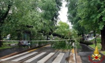 Allerta  rossa per il meteo, i pompieri rassicurano: "Nessuna emergenza nella notte"