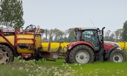 Sapori e tradizioni in terra camuna a Brugherio