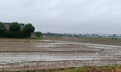 Coldiretti: "Campi come paludi, per gli agricoltori impossibile procedere con le attività stagionali"