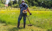 Sfalci del verde da florovivaismo: potranno essere riutilizzati in agricoltura o per produrre bioenergia