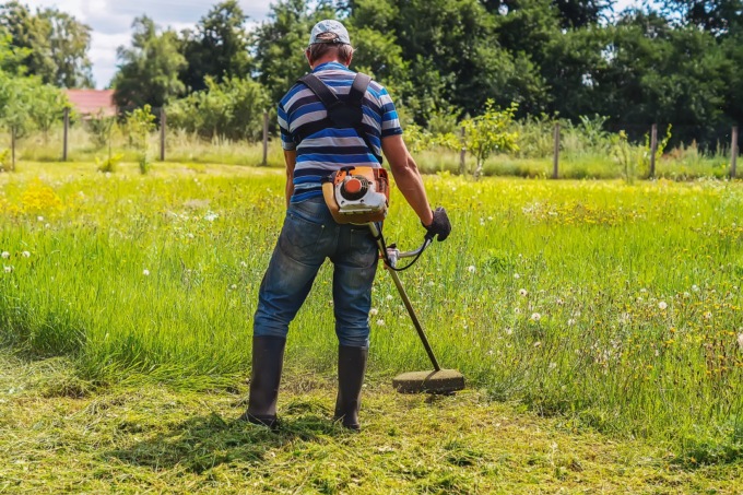 Sfalci del verde da florovivaismo: potranno essere riutilizzati in agricoltura o per produrre bioenergia