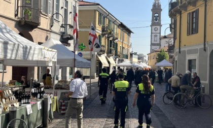 Gorgonzola, contributi alle associazioni 2024: ecco a chi sono stati erogati e con quali cifre