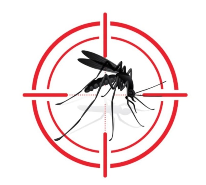 Proliferazione zanzare estate 2024: ecco come fare controllo e prevenzione