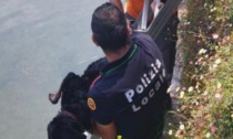 Cane cade nel Naviglio, salvato dalla Polizia di Inzago