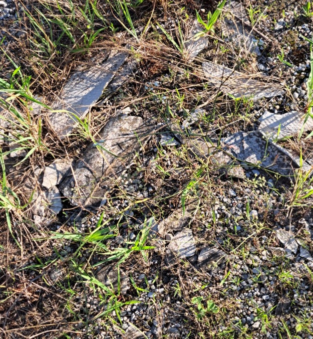 Emergenza amianto, a Cassina de’ Pecchi botta e risposta tra ambientalisti e Comune