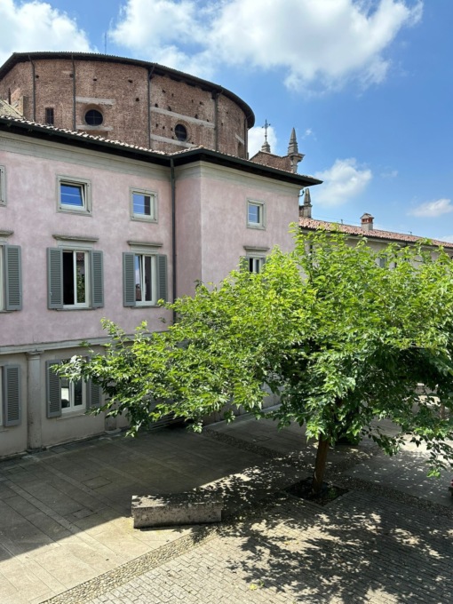 Capriate: il Comune schiera le coccinelle per salvare i gelsi del Municipio