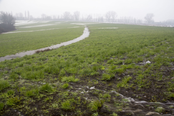 Contributi economici per mantenere le marcite nel Parco Agricolo Sud Milano