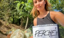 Avanzi di grigliate abbandonati nelle campagne: "Oltre al degrado, si possono veicolare malattie"