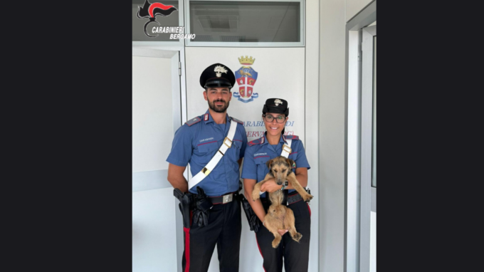 Cagnolino salvato a Capriate San Gervasio: ora si cerca il proprietario