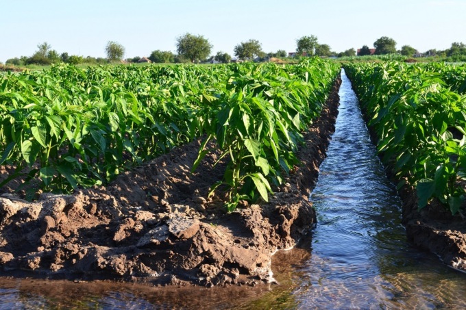 Risorse idriche, l’assessore Sertori: “Approvati i valori del Deflusso Ecologico in Lombardia”