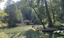 A spasso in bici tra parchi e oasi naturali dell'Adda Martesana