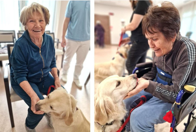 Un amico a quattro zampe Rsa: una terapia che aiuta gli ospiti