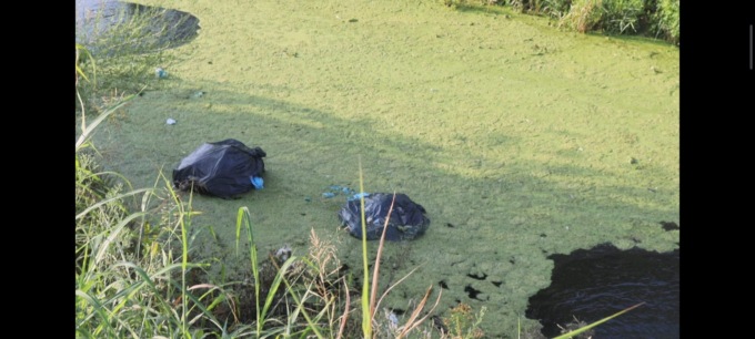 Dal fontanile di Liscate riaffiorano rifiuti: un tempo era un’oasi incontaminata