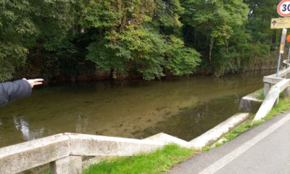 Uomo nel Naviglio a Cernusco, arriva l'ambulanza