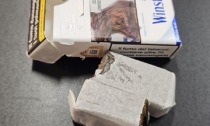 Arrestato insospettabile 18enne di Gorgonzola: aveva con sé 100 grammi di hashish