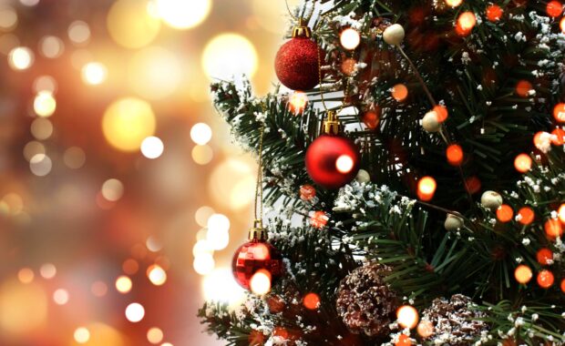 Natale 2024 a Gorgonzola: avviso per la presentazione di proposte di interesse pubblico