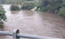 Maltempo con pioggia intensa, paura per il Lambro a Brugherio: "Quasi a tre metri"