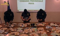 Fiumi di cocaina e denaro tra Lombardia e Calabria: 20 arresti e maxi sequestro di droga