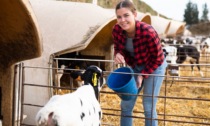 Lombardia, l'assessore Beduschi: "2,2 milioni per insediamento giovani agricoltori"